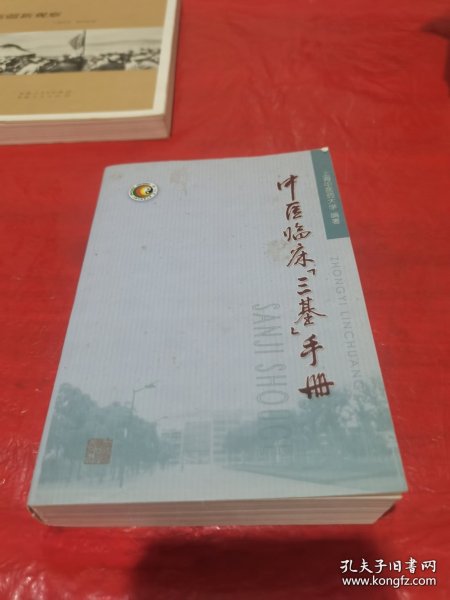 中医临床三基手册