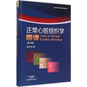 正常心脏组织学图谱