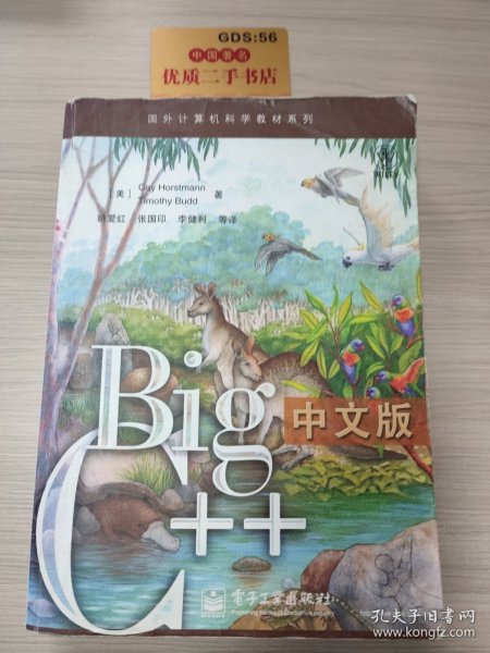 Big C++中文版