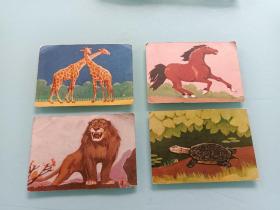 六十年代幼儿认识自然教学彩色扑克图片四张