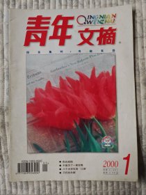 青年文摘  2000年第1期（二十一世纪首刊，纪念）95品