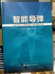 智能导弹（正版新书）