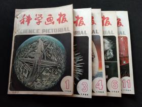 科学画报1984年全12期