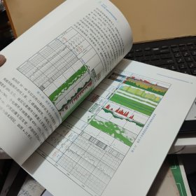 CPLog成像测井新技术应用典型案例（内页干净无笔记，详细目录参照书影）客厅1-3