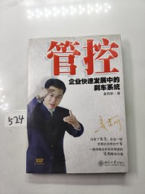 管控：企业快速发展中的刹车系统