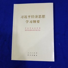 习近平经济思想学习纲要（16开）