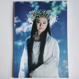 神雕侠侣 刘亦菲 黄晓明 小龙女 杨过 自制 照片书 写真集 写真书 画册