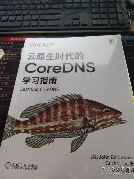 云原生时代的CoreDNS学习指南