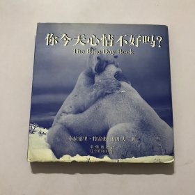 你今天心情不好吗？