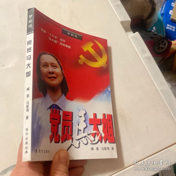 党员马大姐