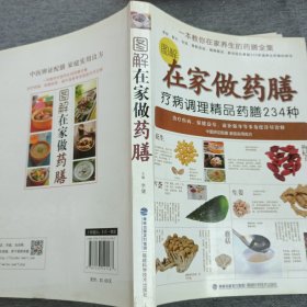 图解在家做药膳：疗病调理精品药膳234种