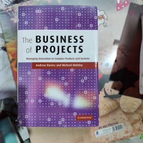 The Business of Projects: Managing Innovation in Complex Products and Systems