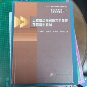 工程扰动围岩压力拱表征及其演化机制