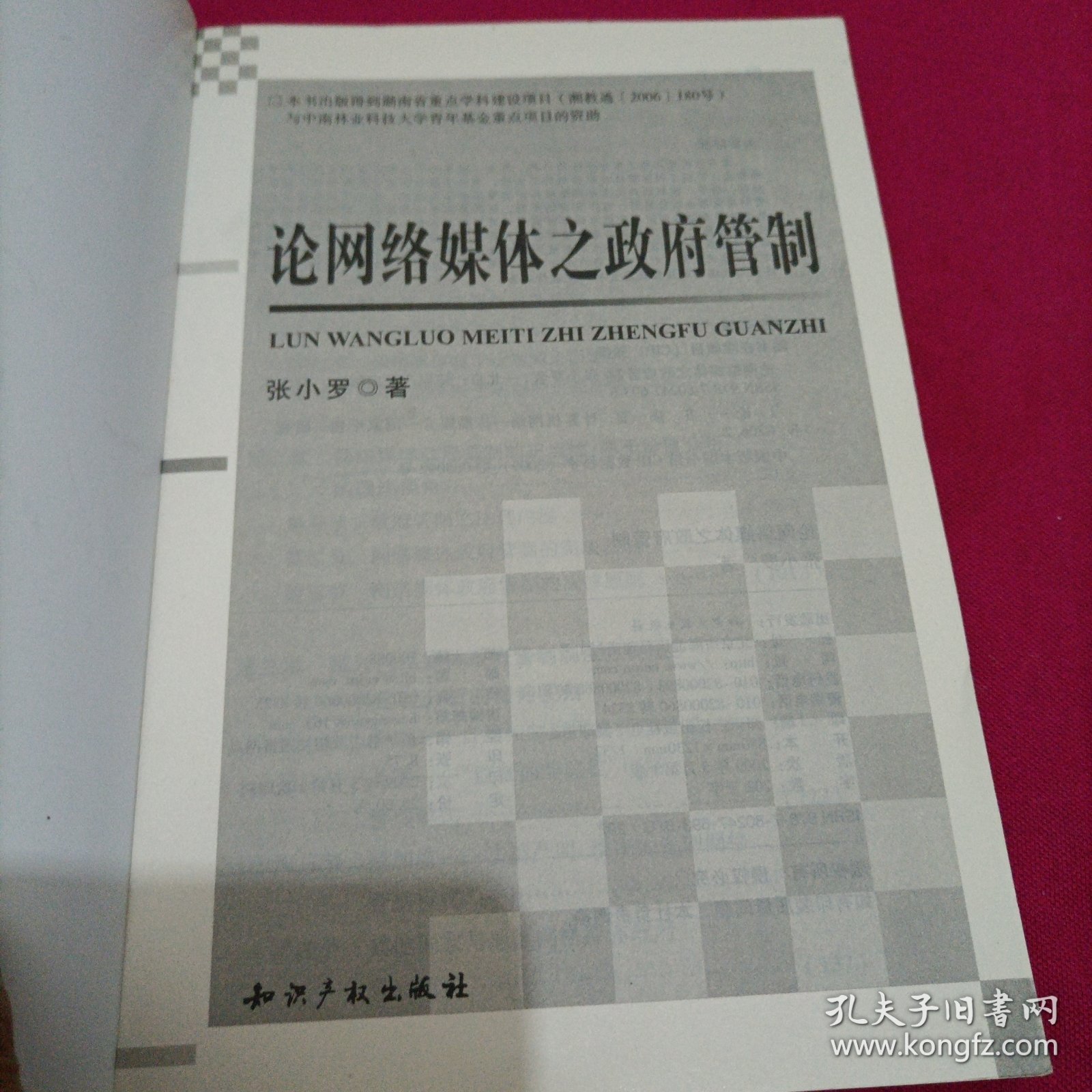 论网络媒体之政府管制