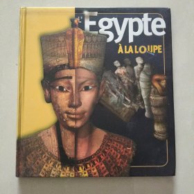 （A La loupe) L'ÉGYPTE 法文插绘本 精装12开