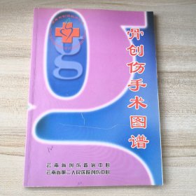 骨创伤手术图谱（拍有目录）（品如图，内页干净）