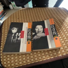 叶永烈纪实文集 上下册