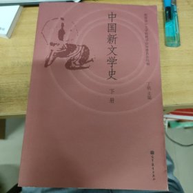 中国新文学史（下册）