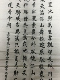 马树平书法作品