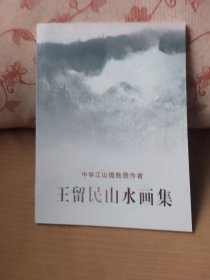 王留民山水画集