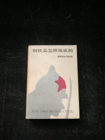 钢铁是怎样炼成的