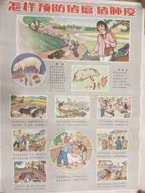 怎样预防猪瘟、猪肺疫