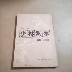 少林武术炮捶、大红拳