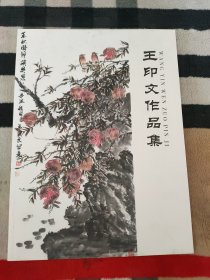 王印文作品集