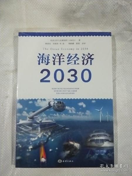 海洋经济2030