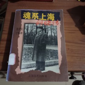 魂系上海:刘晓传