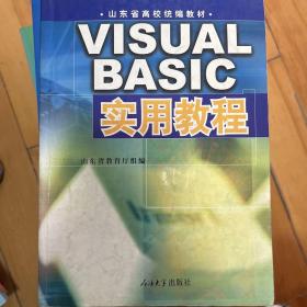 VISUAL BASIC实用教程
