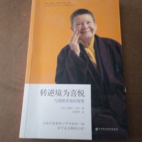 转逆境为喜悦：与恐惧共处的智慧