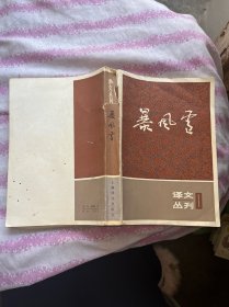 译文丛刊 暴风雪