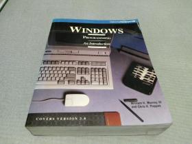 Windows Programming An Introduction (Windows编程简介)