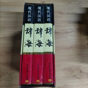 现代汉语辞海（上中下卷）