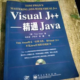 Visual J++:精通Java不含盘