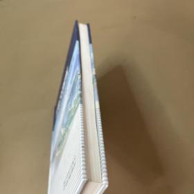 三峡700MW水轮发电机组安装技术