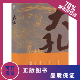 大孔 9787554162279