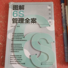 图解6S管理全案：现场实战版(书皮有破损不影响阅读)