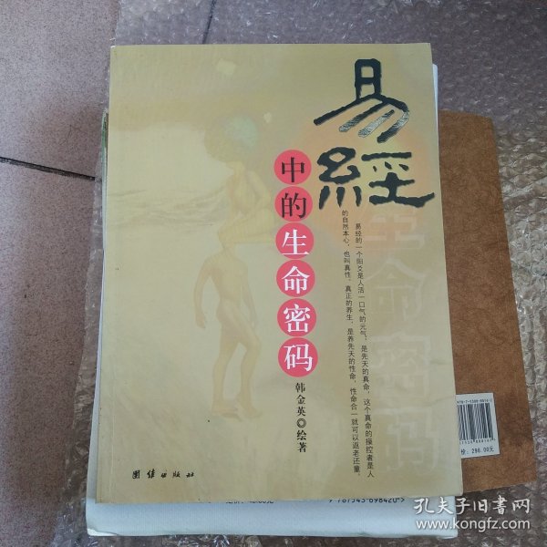 易经中的生命密码