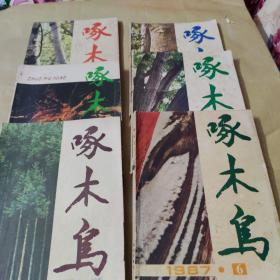 啄木鸟双月刊1987年1一6本全年