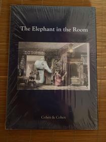 房间里的大象 The Elephant in the Room