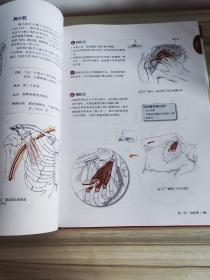 推拿按摩的解剖学基础（第4版）