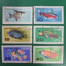 德国邮票 东德 1966年观赏鱼 6全销