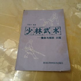 少林武术一一擒拿与解脱 火棍