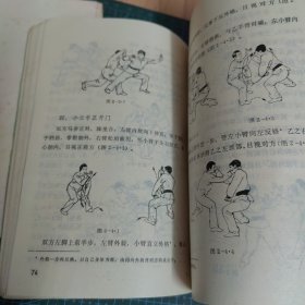 峨眉散打术、蹲桩拳（两册合售）