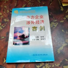 电力企业涉外经济案例——电力系统领导干部岗位任职资格培训案例系列教材（特价/封底打有圆孔）