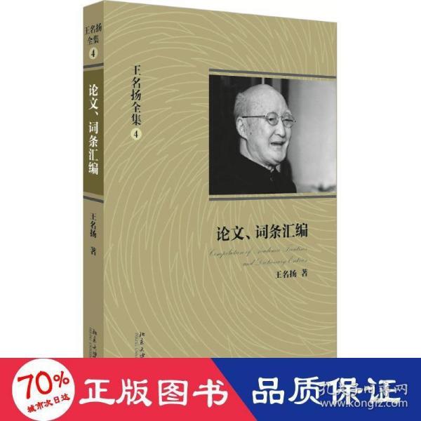 王名扬全集：论文、词条汇编