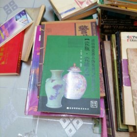 清历朝瓷器真伪鉴别与价值评估：瓷瓶·瓷罐卷