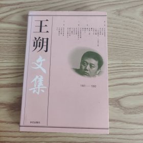 王朔文集